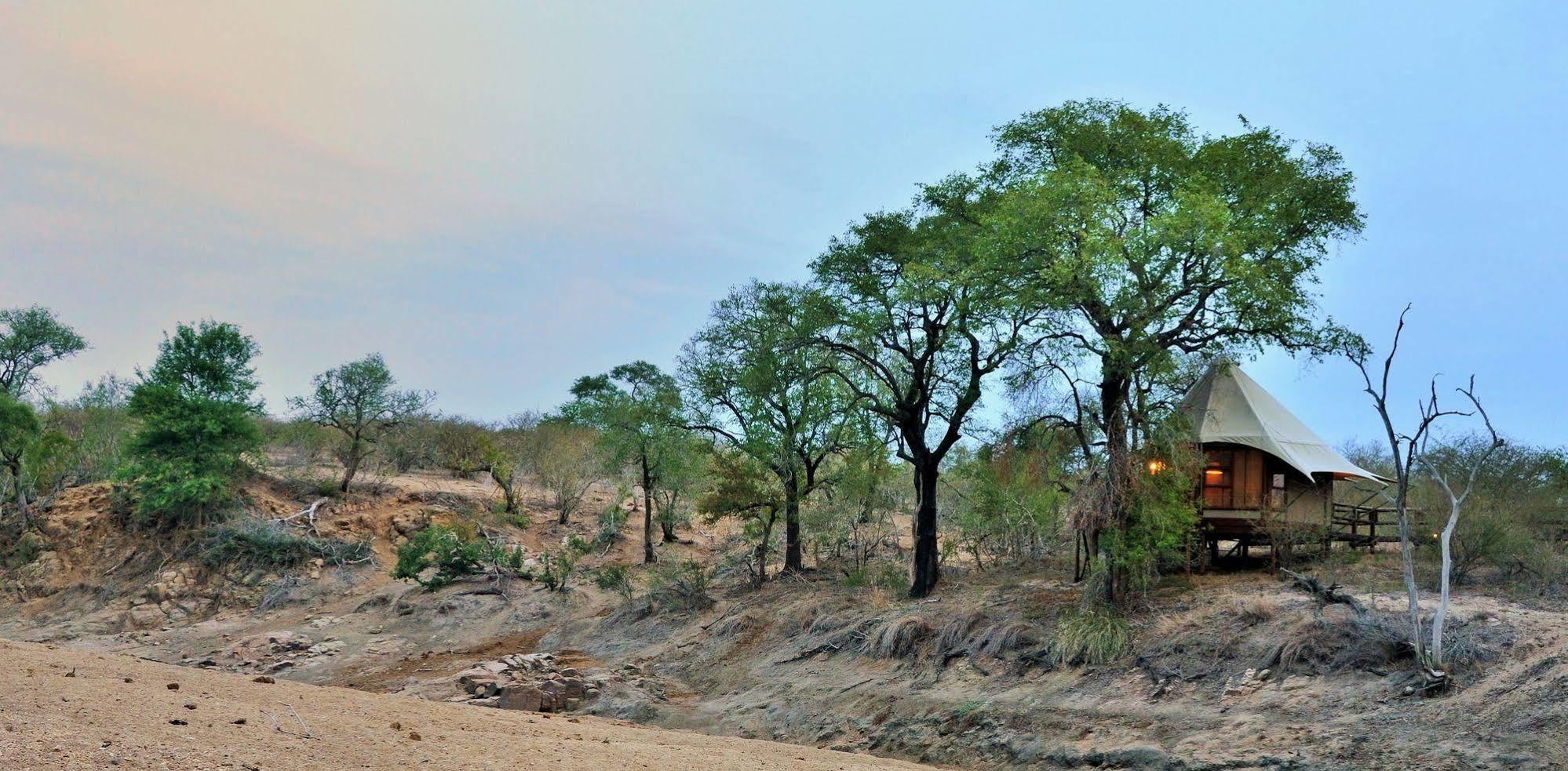 โรงแรมฮามิลตั้นส์เทนเท็ดแคมป์ Mluwati Concession ภายนอก รูปภาพ